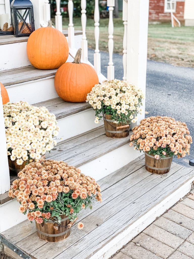 mums and pumpkins on the front steps