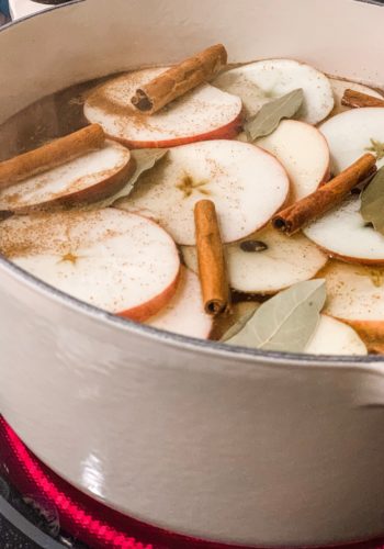 Apple and cinnamon sticks in a pot
