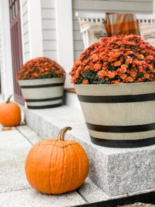 Pumpkins, Mums, and a bench decorated for fall