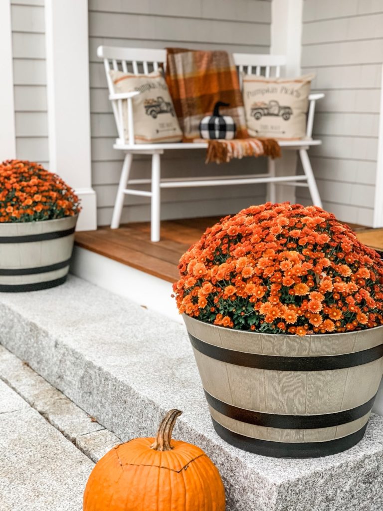 Pumpkins, mums, and a bench decorated for fall