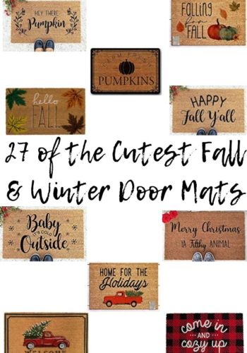 27 of the Cutest Fall & Winter Door Mats