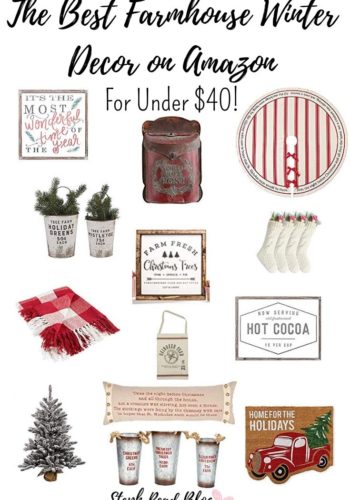 Amazon Farmhouse Winter decor under $40