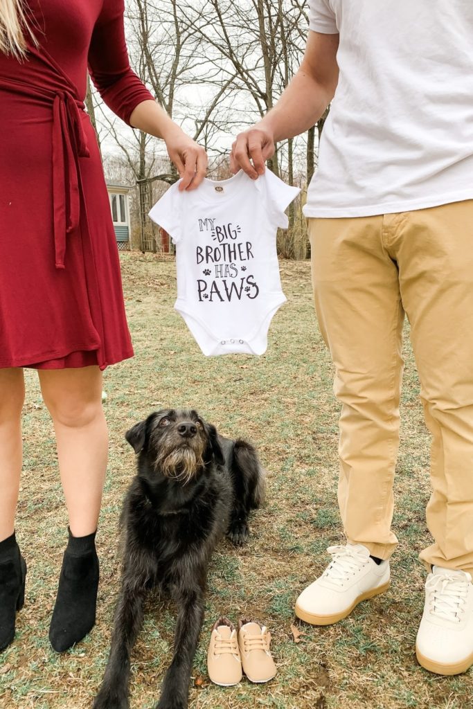 pregnancy announcement, couple holding baby onesie with dog