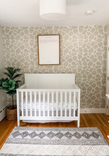 Giraffe Print nursery accent wall with crib, fiddle leaf tree and nursery wall print